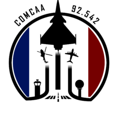 Logo pour un organisme de l'armée de l'air et de l'espace Logo pour un organisme de l'armée de l'air et de l'espace